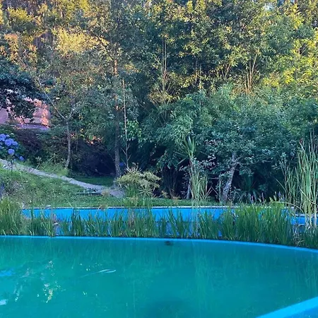 Panoramic Yurt - Naturviana