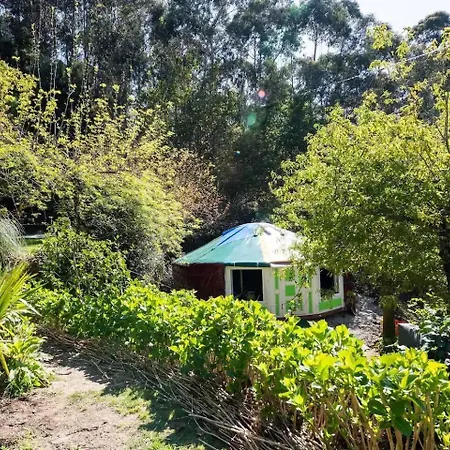 Panoramic Yurt - Naturviana