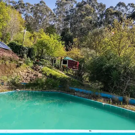 Panoramic Yurt - Naturviana *